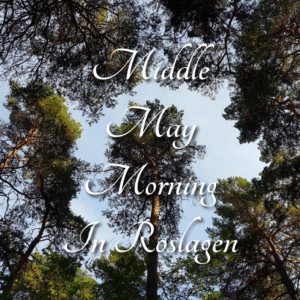 Middle May Morning In Roslagen
